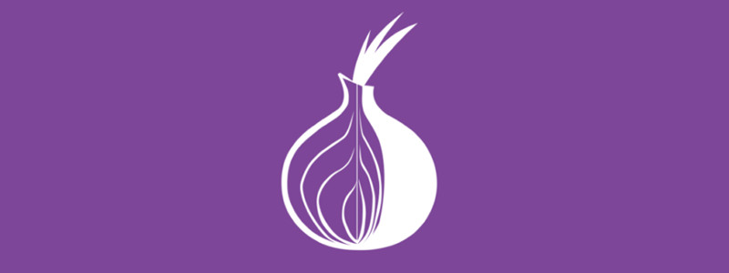 Обеспечение анонимности в сети Интернет. Tor Project
